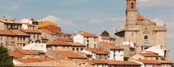 Apartments in Orihuela del Tremedal