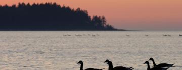 Hoteles que aceptan mascotas en Nanoose Bay