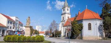 Hotels with Parking in Hlohovec