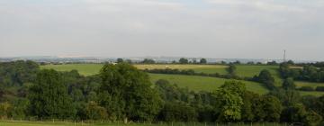 Cottages in Tenbury