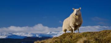 Cottage a Lawers