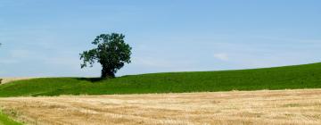 Holiday Rentals in Baugé-en-Anjou