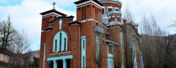 Hotels in Anina