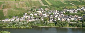 Hotels in Burg an der Mosel