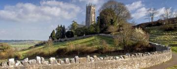 Hoteles que aceptan mascotas en Blagdon