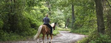 Holiday Homes in Alachua