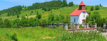 Hotels mit Parkplatz in Rzepiska