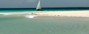 Beach Hotels in Pangani