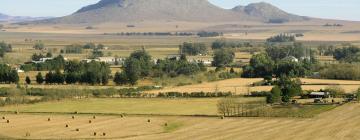 Cottages in Balcarce