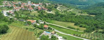 Apartments in Vižinada