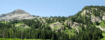 Cottages in Cottonwood Heights