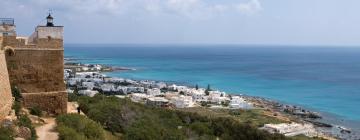 Hotels with Parking in Kelibia