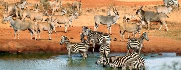 Cottages in Tsavo West National Park