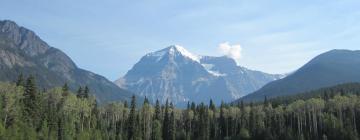 Mga hotel sa Mount Robson