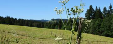 Hoteles en Bavilliers