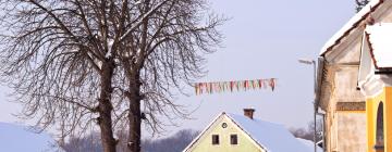 Hoteles con estacionamiento en Zgornja Kungota