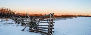 Недорогие предложения для отдыха в городе Фрихолд