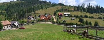 Hoteluri cu parcare în Tău Bistra