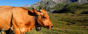 Hoteles en Sainte-Foy-Tarentaise