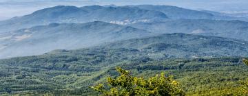 Monte Amiata'daki otoparklar