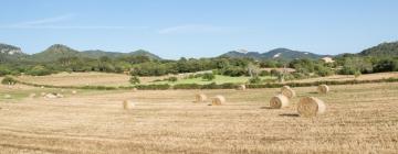 Cabañas y casas de campo en Muro