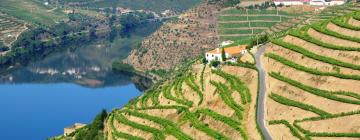 Alquileres vacacionales en Covas do Douro