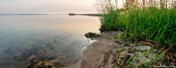 Hôtels acceptant les animaux domestiques à Lac La Biche