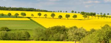 Tanie hotele w mieście Hofheim am Taunus