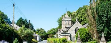 Cottages in Little Petherick