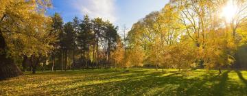 Parkolóval rendelkező hotelek Bearspaw-ban