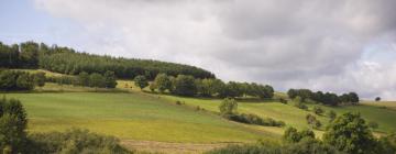 Ferieboliger i Steffeln