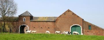 Hotels met Parkeren in Reningelst