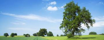 Hotels met Parkeren in Westbroek