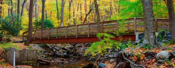 Slēpošanas kūrorti pilsētā Delaware Water Gap