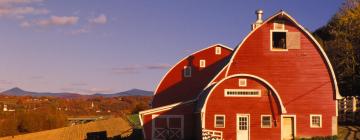 Cottages in Castleton