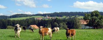 Apartments in Möggers