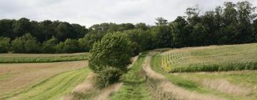 Ferieboliger ved stranden i Meysey Hampton