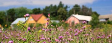 Hotellit, joissa on pysäköintimahdollisuus kohteessa Wieniawa