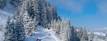 Ski Resorts in Oberterzen