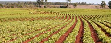 Hotéis em Kingaroy