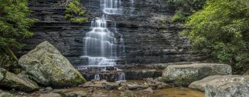 Parkolóval rendelkező hotelek Ocoee-ben