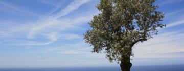 Alloggi vicino alla spiaggia a Spanokhórion