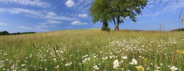 Hoteles familiares en Saint-Pierre-le-Chastel