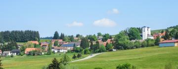 Apartments in Herrischried