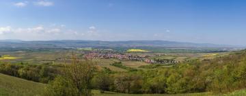 Hôtels avec parking à Gau-Algesheim