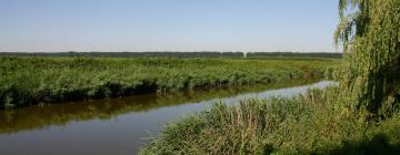 Parkolóval rendelkező hotelek Hengstdijk városában