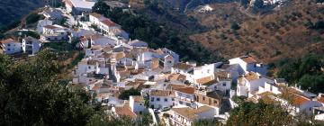 Apartments in Tolatán