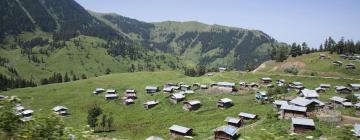 Hoteles con estacionamiento en Artvin