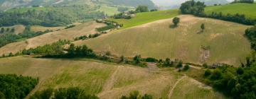 Holiday Rentals in Malalbergo