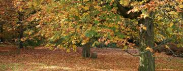 Cabanes i cottages a Nort-sur-Erdre